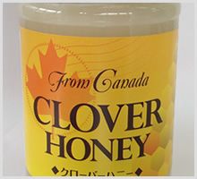 カナダ産クローバー蜂蜜220g